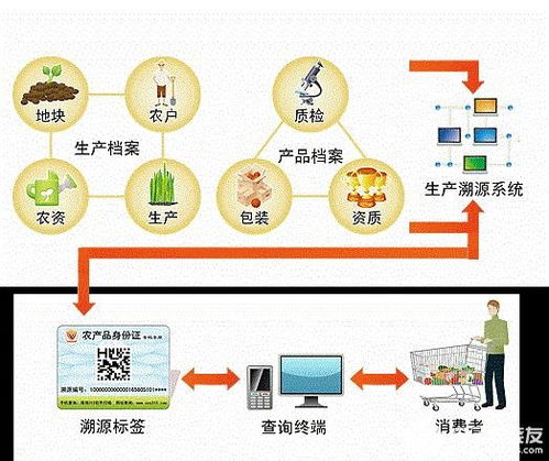 构建基于农业物联网的食品安全溯源系统 技术方案与服务模式